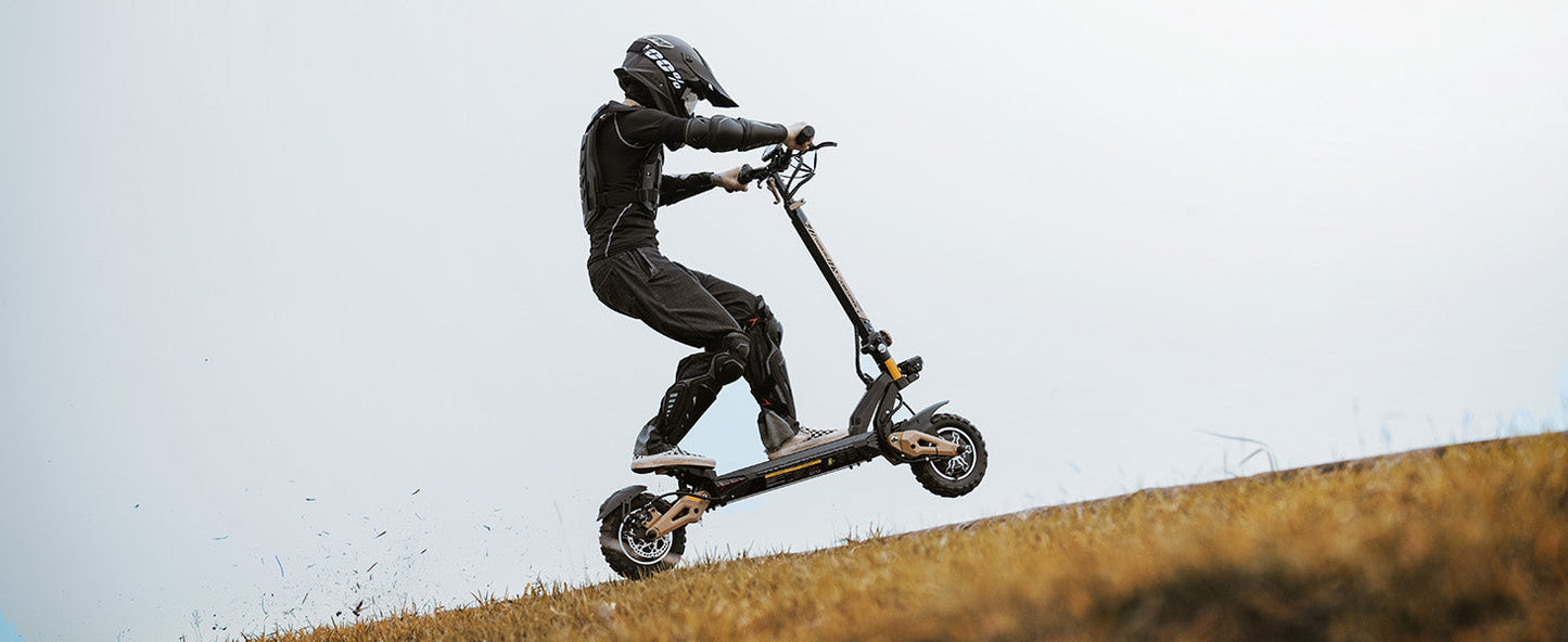 Circooter Cruiser Pro (48V) 2400w Multi-Purpose Electric Scooter