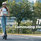 iScooter i10 Plus (42V) 800w Multi-Purpose Electric Scooter