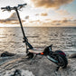 NANROBOT D6+2.0 Multi-Purpose Electric Scooter